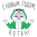 🎅 emoji СберКот на чиле @TgSticker Telegram sticker 24 of 31