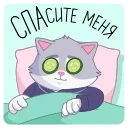 🥒 emoji СберКот на чиле @TgSticker Telegram sticker 6 of 31