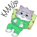 🤤 emoji СберКот на чиле @TgSticker Telegram sticker 5 of 31