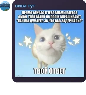 🧔‍♂️ emoji Подворотня ГосЗаказа 2.0 pack by @QuotLyBot Telegram sticker 2 of 48
