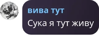🧑‍🍳 emoji Подворотня ГосЗаказа 2.0 pack by @QuotLyBot Telegram sticker 16 of 48