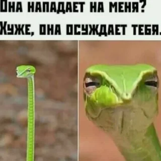 😄 emoji Мем Telegram sticker 13 of 19