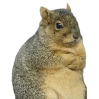 😒 emoji Мем Telegram sticker 15 of 117