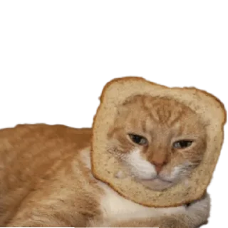 😾 emoji Мем Telegram sticker 9 of 117