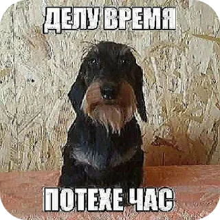 🖼 emoji мем Telegram sticker 11 of 18