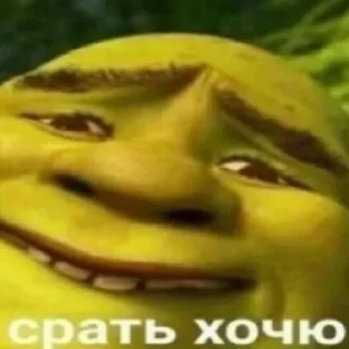 Sticker from Мем