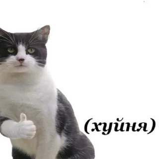 👍 emoji БЛЯДЬ Telegram sticker 7 of 119