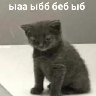🫡 emoji БЛЯДЬ Telegram sticker 12 of 119