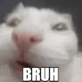 🙀 emoji Okay Telegram sticker 10 of 70