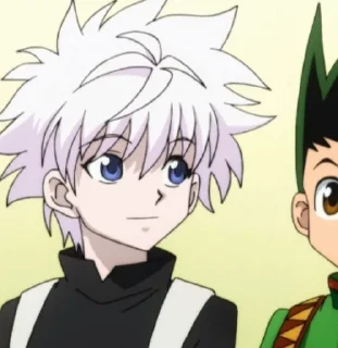 ⚡️ emoji @zzwraii Killua Zoldyck Telegram sticker 14 of 90