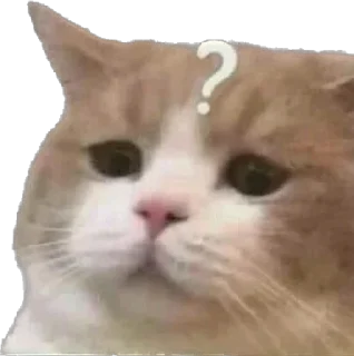 🧐 emoji Shit Telegram sticker 8 of 62