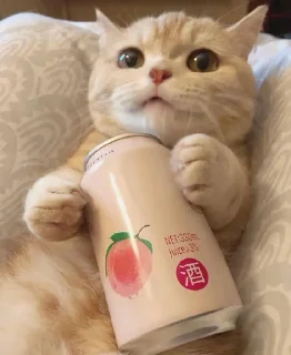 🌟 emoji Cute Japan Cat by @aut0mania Telegram sticker 9 of 11