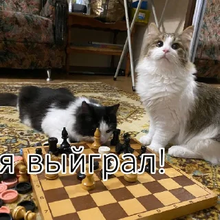 Sticker from А ну-ка давай-ка