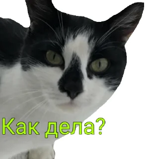 Sticker from А ну ка давай-ка!