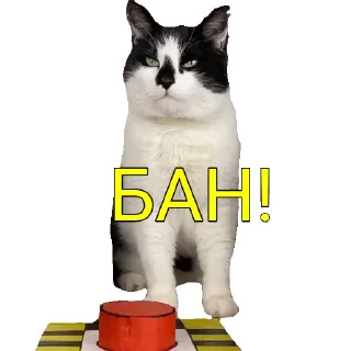 Sticker from А ну ка давай-ка!