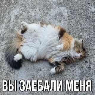 🫠 emoji вы заебали меня Telegram sticker 9 of 120