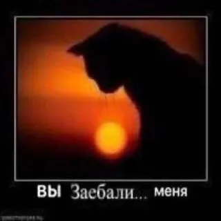 😺 emoji вы заебали меня Telegram sticker 12 of 120