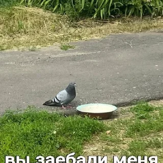 😡 emoji вы заебали меня Telegram sticker 10 of 120