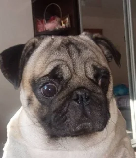 Sticker from Favorite stickers