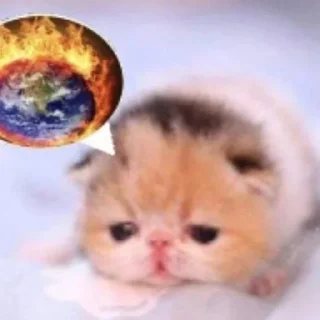 Sticker from Котятки