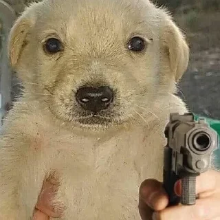 🔫 emoji doggy Telegram sticker 16 of 20