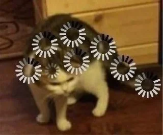 🤓 emoji коты Telegram sticker 23 of 38