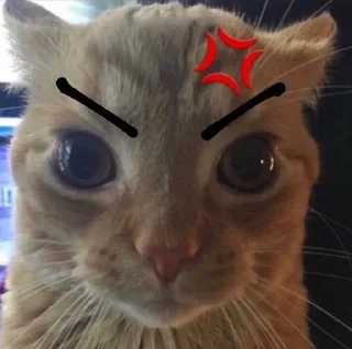 😠 emoji коты Telegram sticker 22 of 38