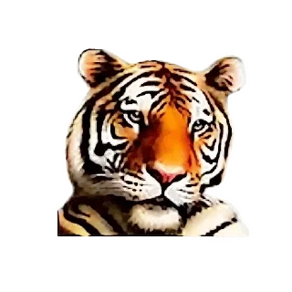 🐅 emoji Roflan Telegram sticker 15 of 15