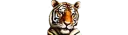 🦁 emoji roflan Telegram sticker 24 of 46