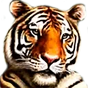 🐯 emoji roflan Telegram sticker 11 of 11