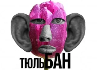 🗿 emoji SamSklepav Telegram sticker 22 of 120
