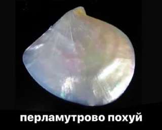 Sticker from ПоХ¥ю
