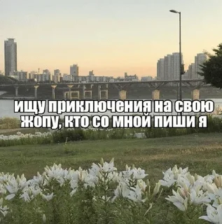 Sticker from Щп
