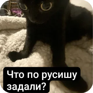 Sticker from Секси