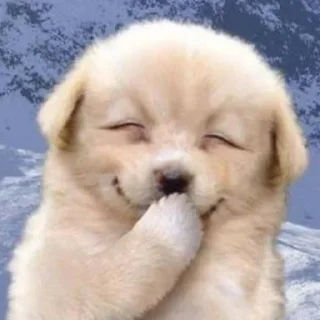 😆 emoji q Telegram sticker 13 of 35