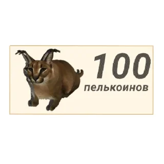 Sticker from Валюта Ш.Ц.