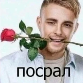 🌟 emoji попа челен Telegram sticker 24 of 93