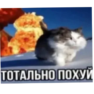 🔥 emoji Дальше👉 | @m1khailbr_stickerbot Telegram sticker 13 of 118