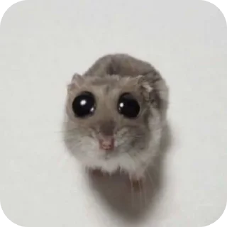 🥺 emoji Дальше👉 | @m1khailbr_stickerbot Telegram sticker 19 of 118