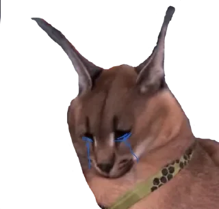 😿 emoji пак от шызи Telegram sticker 17 of 120