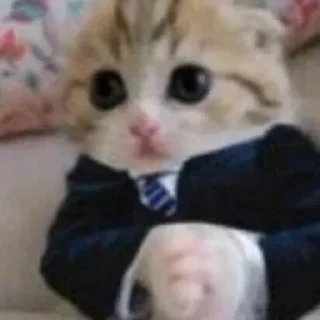 😎 emoji Пак от Госта Telegram sticker 5 of 87