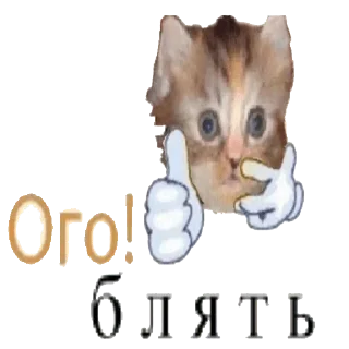 👍 emoji Пак от Госта Telegram sticker 8 of 87