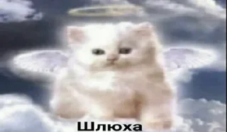 😇 emoji Пак от Госта Telegram sticker 15 of 87