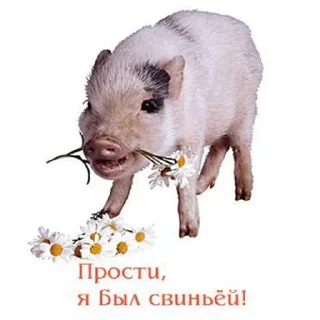 😞 emoji пак от шызи Telegram sticker 11 of 120