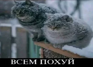 🥚 emoji пак от шызи Telegram sticker 24 of 120