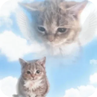 👍 emoji Стикеры 3 от @AlexNhc Telegram sticker 9 of 120