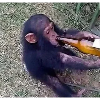 🍺 emoji Больше стиков тут: @stikery4 Telegram sticker 3 of 66