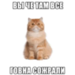 Sticker from Жизн