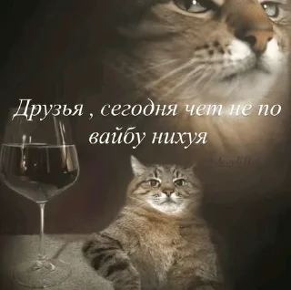 Sticker from Жизн