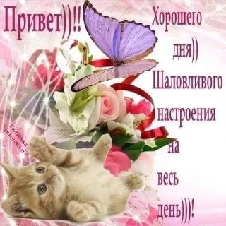 Sticker from ьбьб